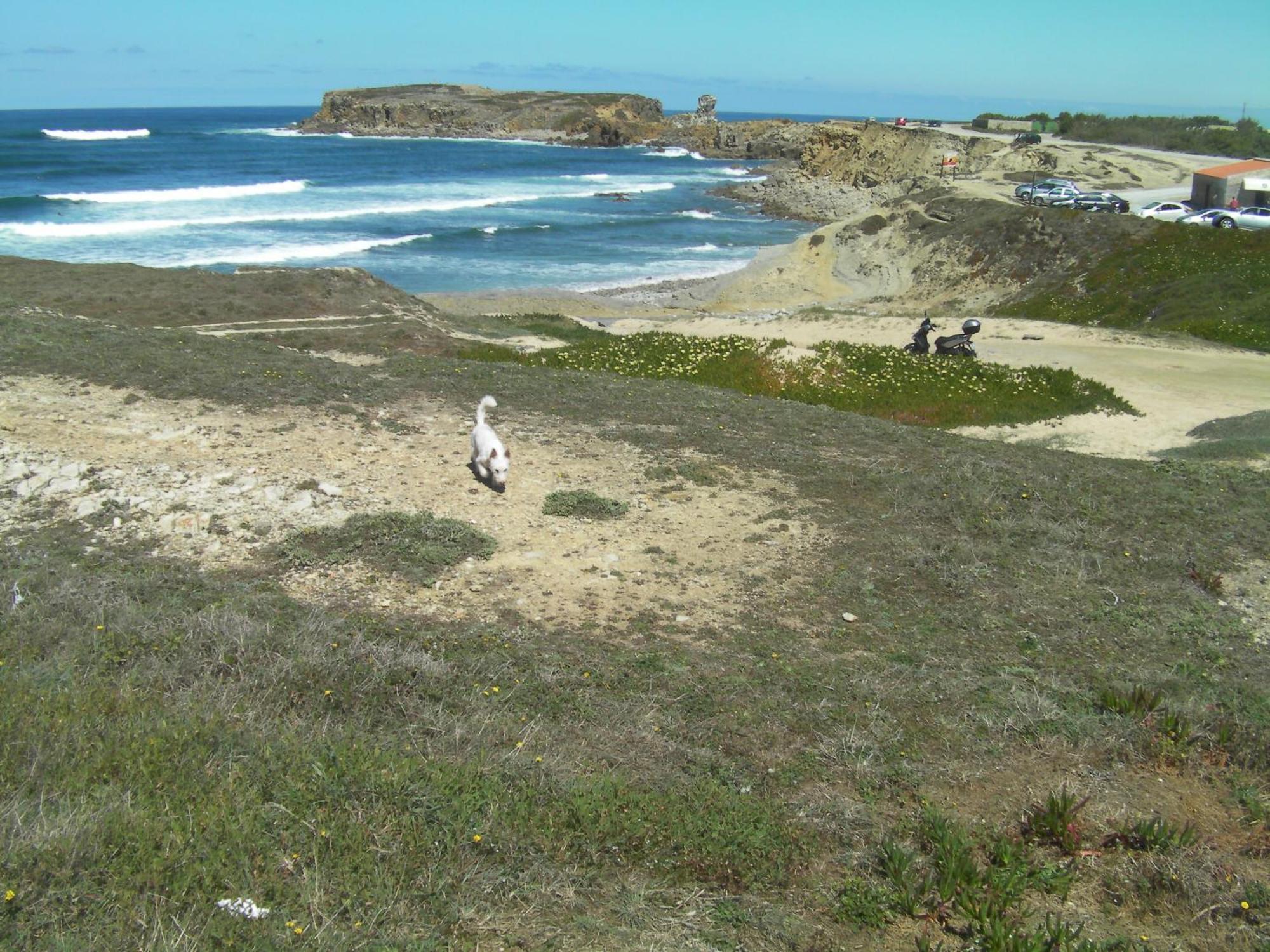 Peniche Surf Lodge 1 エクステリア 写真